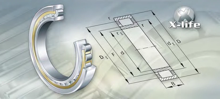 NU2980-M1 bearing drawing NU2980-M1 bearing drawing