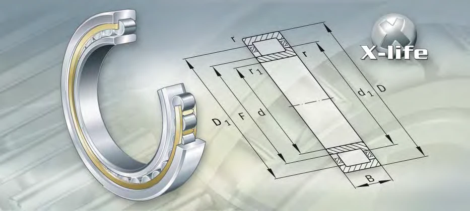 NU3088-K-M1A bearing drawing NU3088-K-M1A bearing drawing